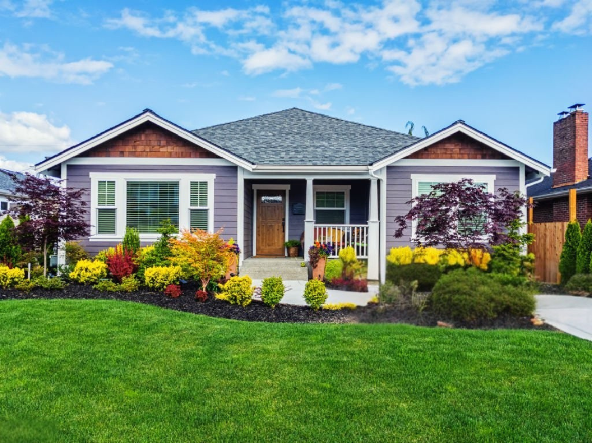 Landscaping Services in the UAE