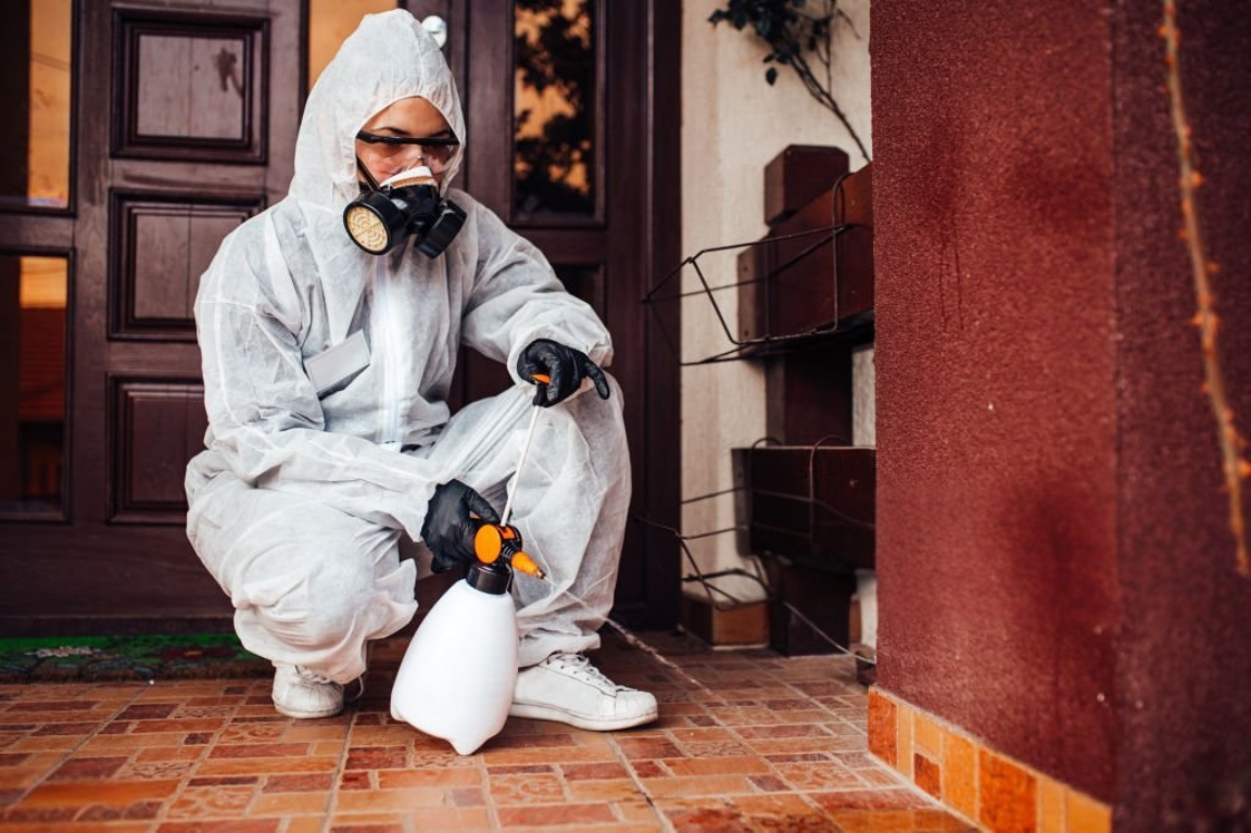 Pest Control Services in the UAE