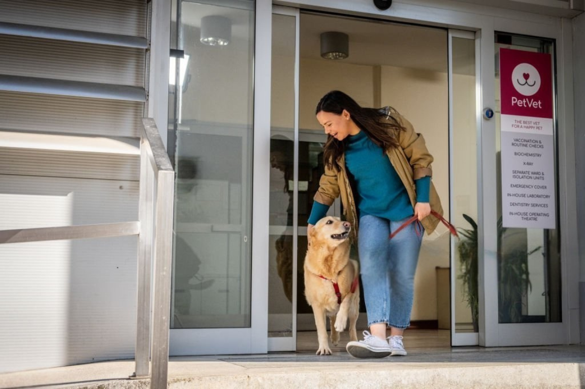 Pet Care Services in the UAE