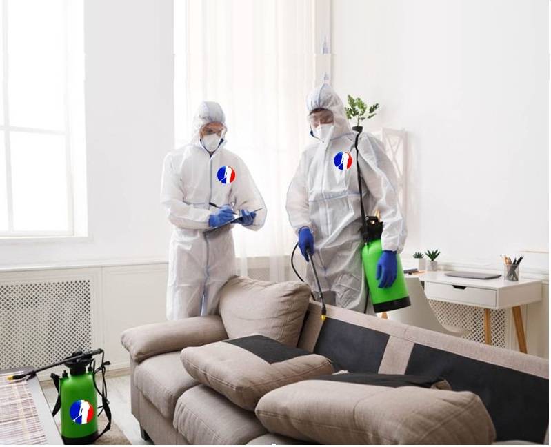 Pest Control in Ajman