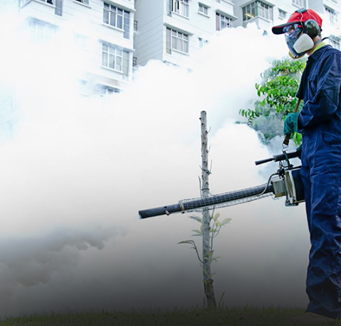 Pest Control by Blue Diamond Pest Control Service
