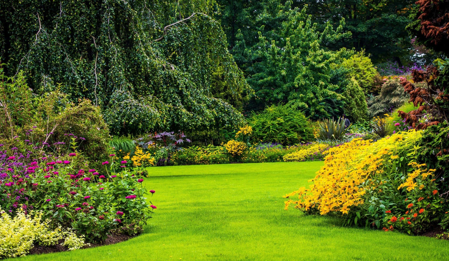 Landscaping - Cento landscaping by Cento landscaping