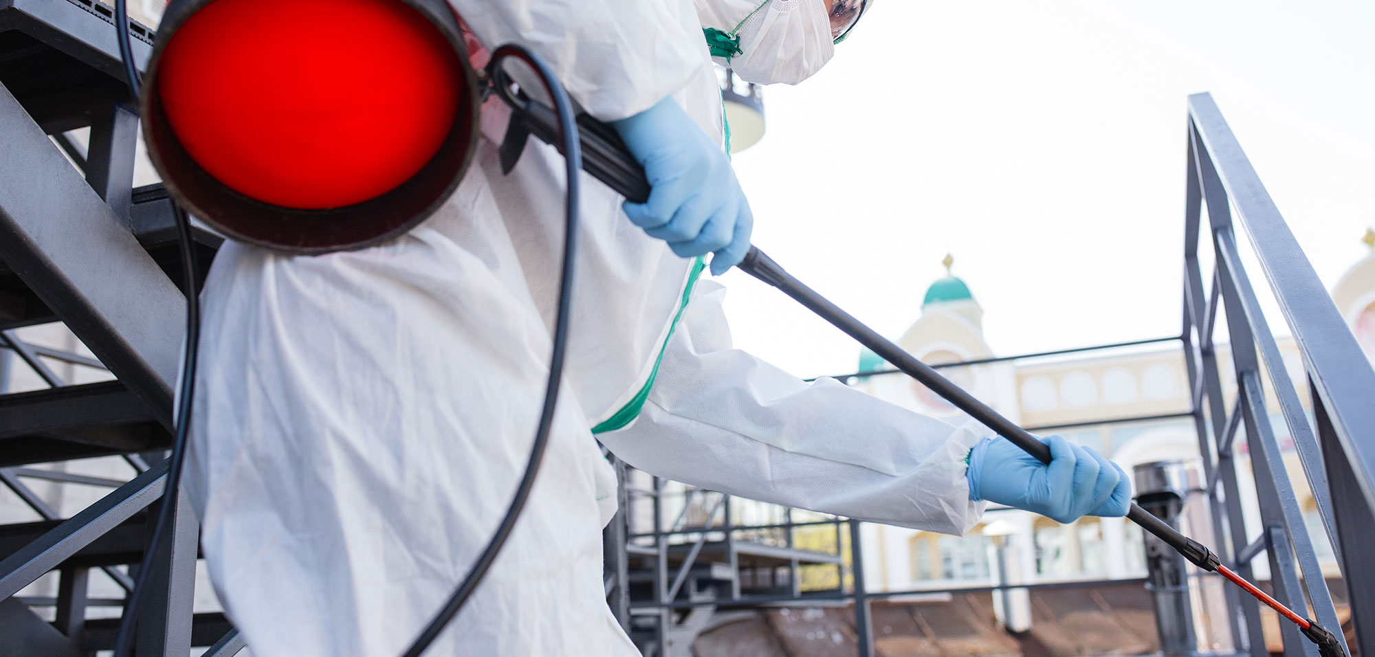 Pest Control by Clean & Green Pest Control Services Company Sharjah