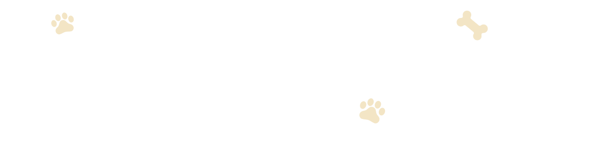Pet Salon by Dazzling Paws Pet Care