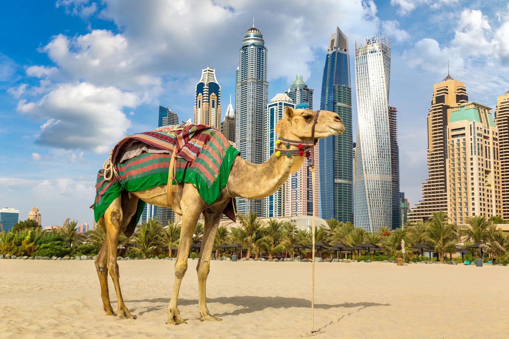 Transport in Abu Dhabi