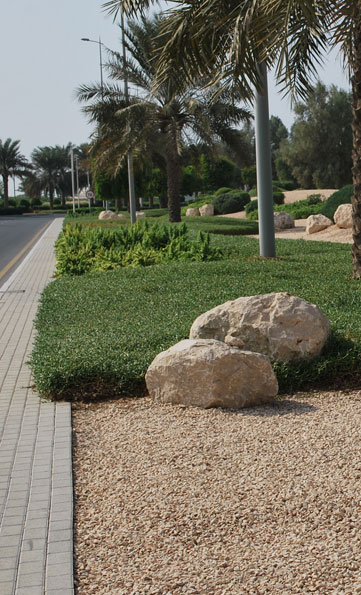 Landscaping in Ajman