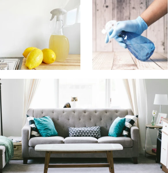 Cleaning in Ras Al Khaimah