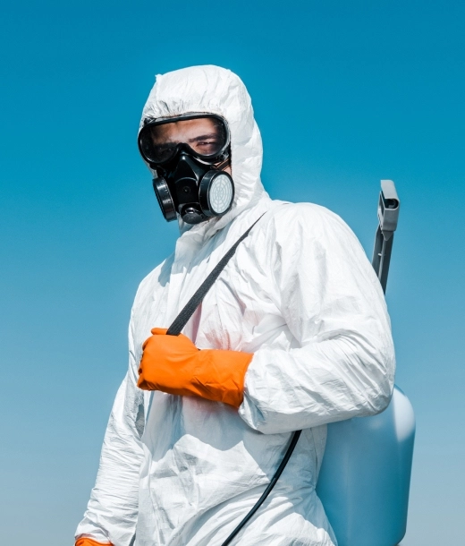 Pest Control - HIGH LINE PEST CONTROL RAS AL KHAIMAH by HIGH LINE PEST CONTROL RAS AL KHAIMAH