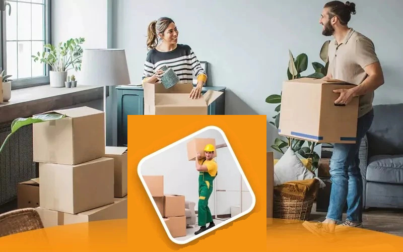 Movers in Ajman
