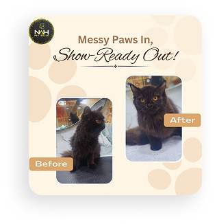 Pet Salon - Noor Al Hayah pets hairdressing salon (mobile pet grooming services) by Noor Al Hayah pets hairdressing salon (mobile pet grooming services)