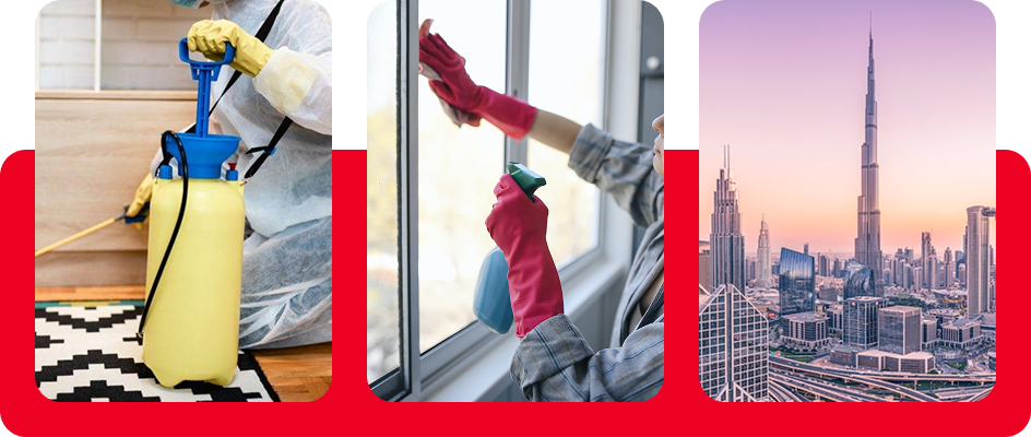 Pest Control by Safe Horizon (Pest Control Ants Control, Bed Bug, Cockroaches, Control Services)