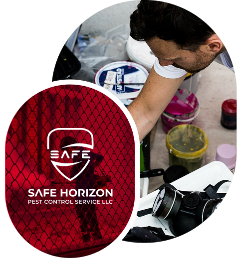 Pest Control - Safe Horizon (Pest Control Ants Control, Bed Bug, Cockroaches, Control Services) by Safe Horizon (Pest Control Ants Control, Bed Bug, Cockroaches, Control Services)