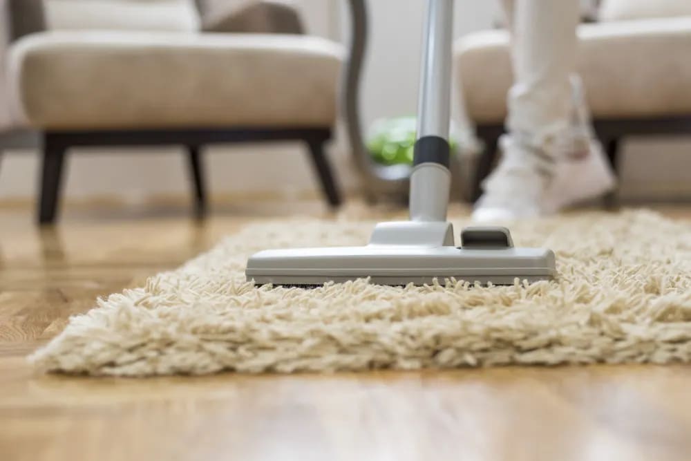 Cleaning - Seasons Cleaning Services by Seasons Cleaning Services