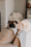 Pet Care by The Pet Sitting Co. Abu Dhabi