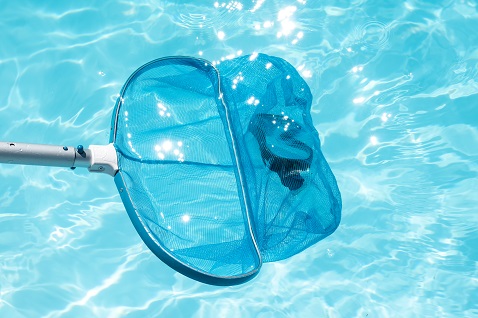 Swimming Pool - Trust Star Technical Services by Trust Star Technical Services