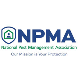 Pest Control - United Pest Control & Cleaning by United Pest Control & Cleaning
