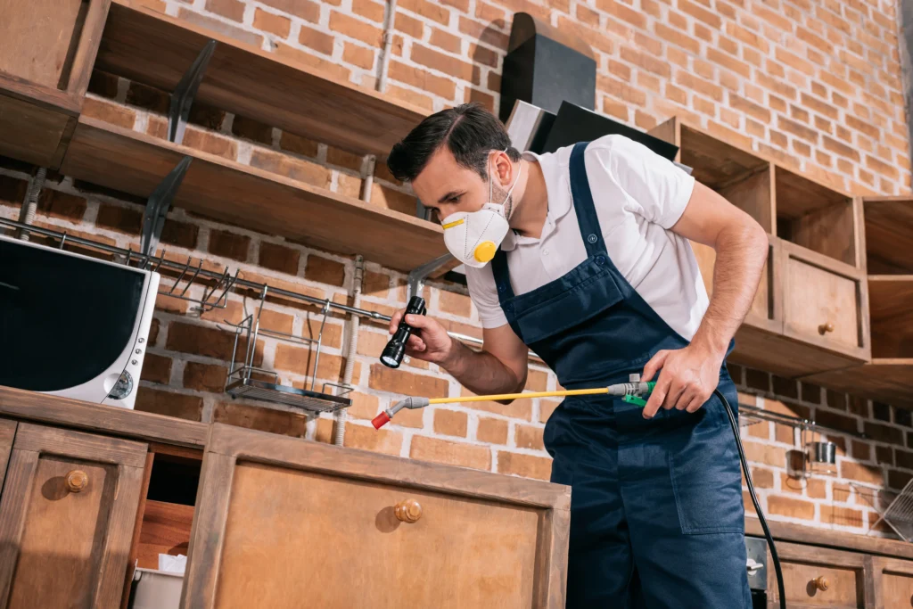 Pest Control in Abu Dhabi